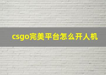 csgo完美平台怎么开人机