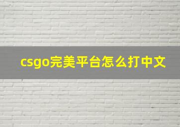 csgo完美平台怎么打中文