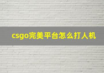 csgo完美平台怎么打人机