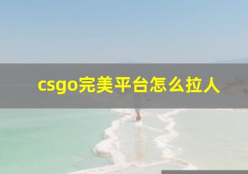 csgo完美平台怎么拉人