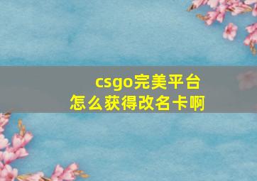 csgo完美平台怎么获得改名卡啊