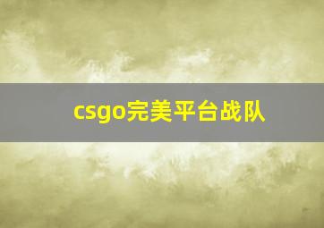 csgo完美平台战队