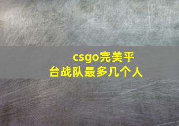 csgo完美平台战队最多几个人