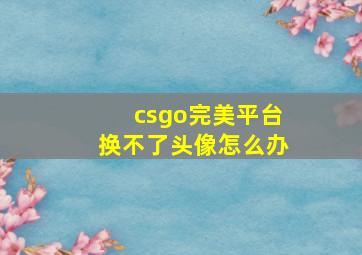 csgo完美平台换不了头像怎么办