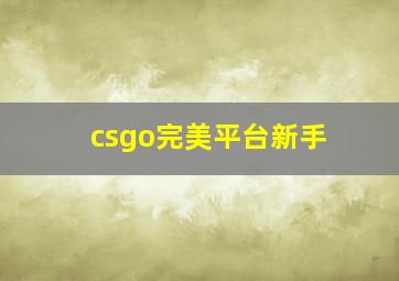 csgo完美平台新手