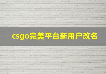 csgo完美平台新用户改名