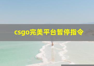 csgo完美平台暂停指令