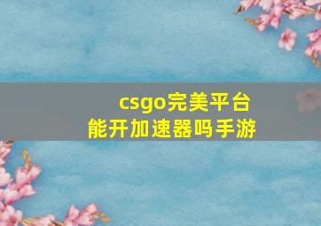 csgo完美平台能开加速器吗手游