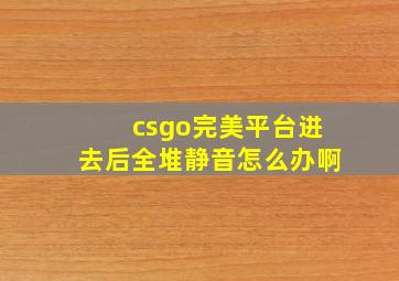 csgo完美平台进去后全堆静音怎么办啊