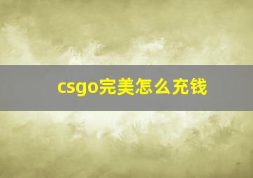 csgo完美怎么充钱