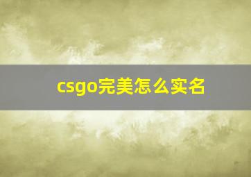 csgo完美怎么实名