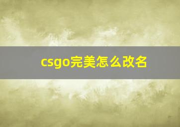 csgo完美怎么改名