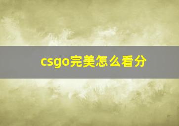 csgo完美怎么看分