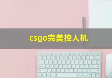 csgo完美控人机