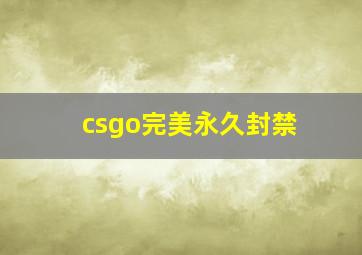 csgo完美永久封禁