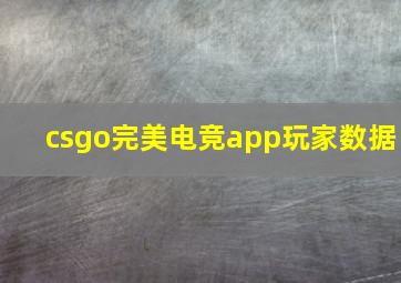 csgo完美电竞app玩家数据