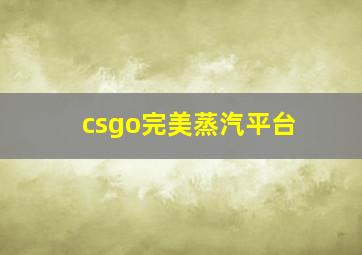 csgo完美蒸汽平台