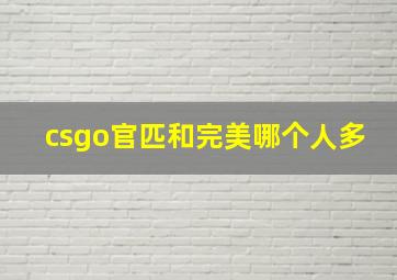 csgo官匹和完美哪个人多