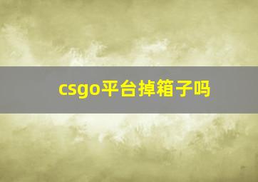 csgo平台掉箱子吗