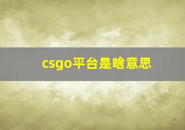 csgo平台是啥意思