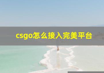 csgo怎么接入完美平台