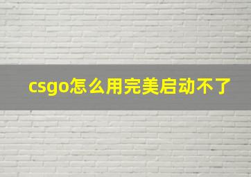 csgo怎么用完美启动不了