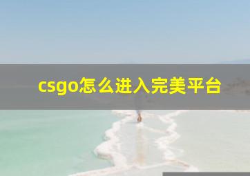 csgo怎么进入完美平台