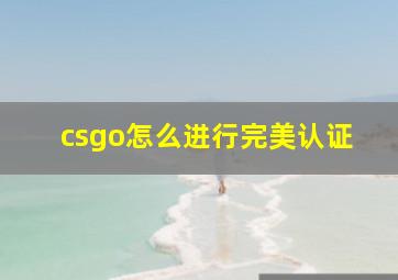 csgo怎么进行完美认证