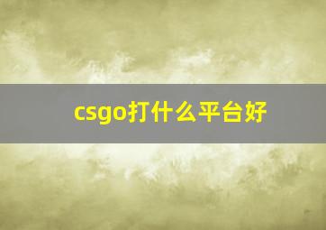 csgo打什么平台好