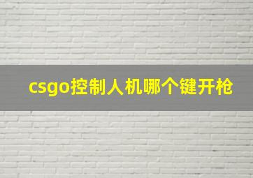 csgo控制人机哪个键开枪