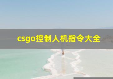 csgo控制人机指令大全