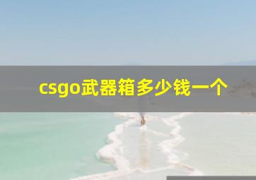 csgo武器箱多少钱一个