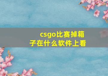 csgo比赛掉箱子在什么软件上看