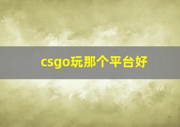 csgo玩那个平台好