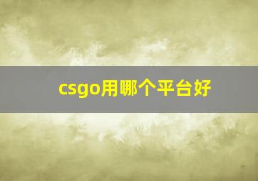 csgo用哪个平台好