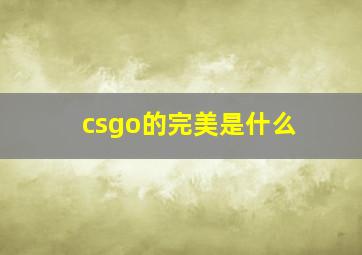 csgo的完美是什么