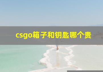 csgo箱子和钥匙哪个贵