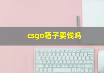 csgo箱子要钱吗