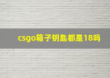 csgo箱子钥匙都是18吗