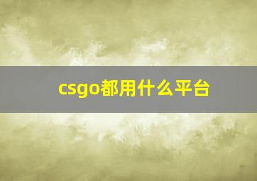 csgo都用什么平台