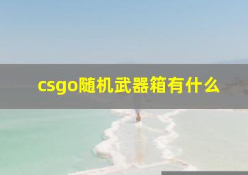 csgo随机武器箱有什么