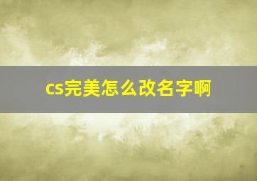 cs完美怎么改名字啊