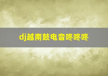 dj越南鼓电音咚咚咚