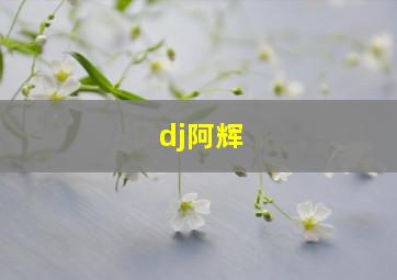 dj阿辉