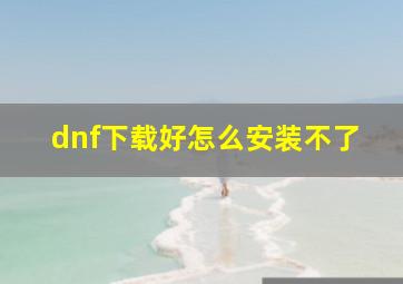 dnf下载好怎么安装不了