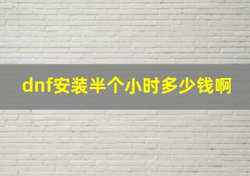 dnf安装半个小时多少钱啊