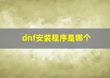 dnf安装程序是哪个