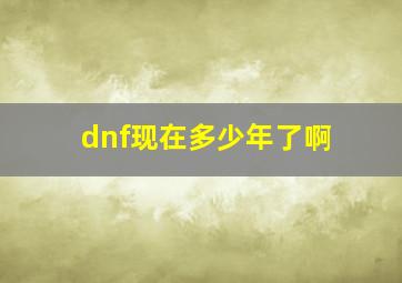 dnf现在多少年了啊