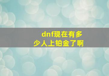 dnf现在有多少人上铂金了啊