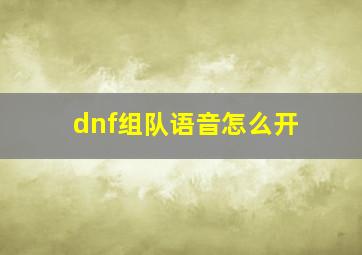 dnf组队语音怎么开